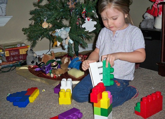 Constructive Toys - Duplos