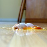 10 Tips for Clean Floors Without Cleaning (Much)