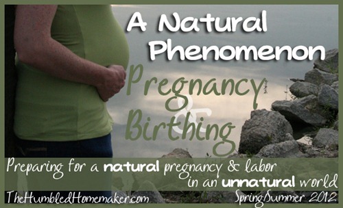 Natural Phenomenon Series Banner