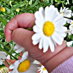 The Real Truth About Simplifying Your Life (www.TheSimpleHomemaker.com)