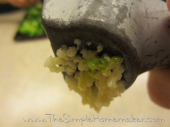 Simple Tools for a Simple Home - The Garlic Press