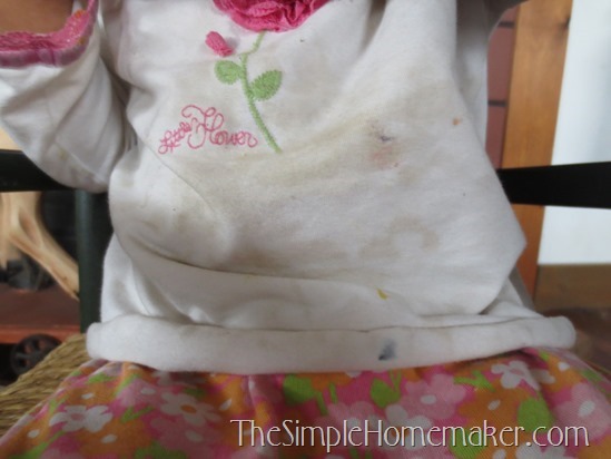 A Simple Stain Solution: Fels Naptha Stain Remover and Laundry Bar