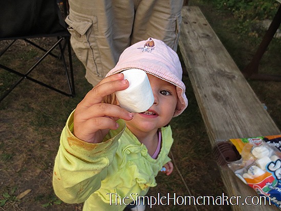 Simple {Nearly} Messless S'mores -- Only two ingredients and a mind-blowing technique!