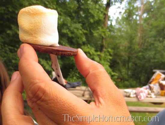 Simple {Nearly} Messless S'mores -- Only two ingredients and a mind-blowing technique!