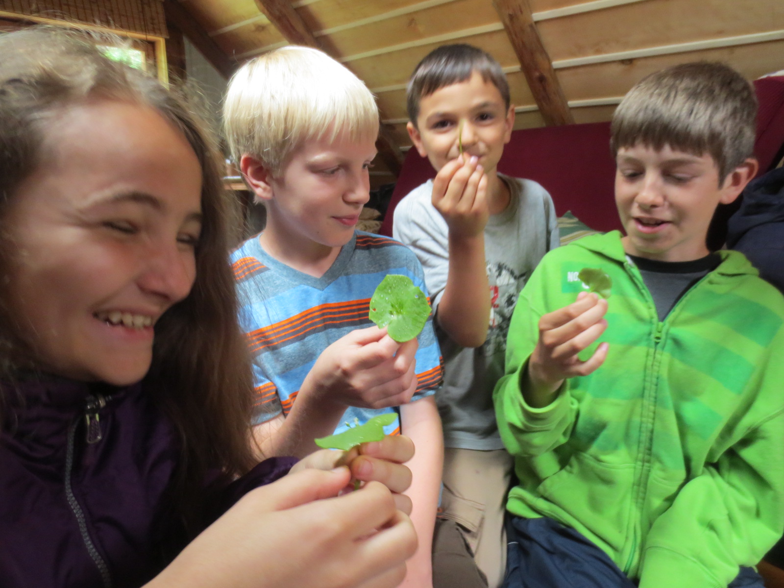 11 Tips to Get Your Kids to Eat Veggies