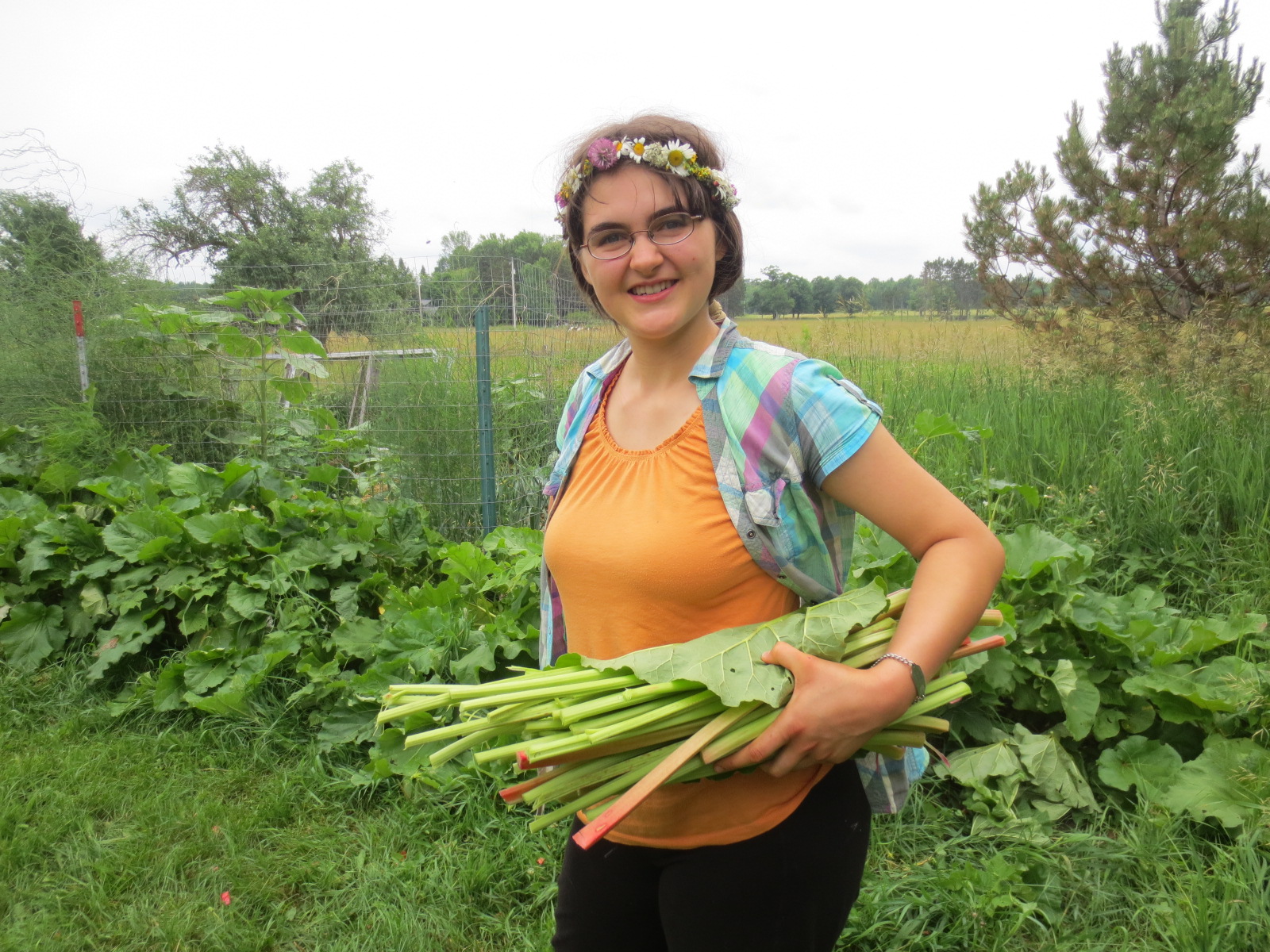 11 Tips to Get Kids to Eat Veggies