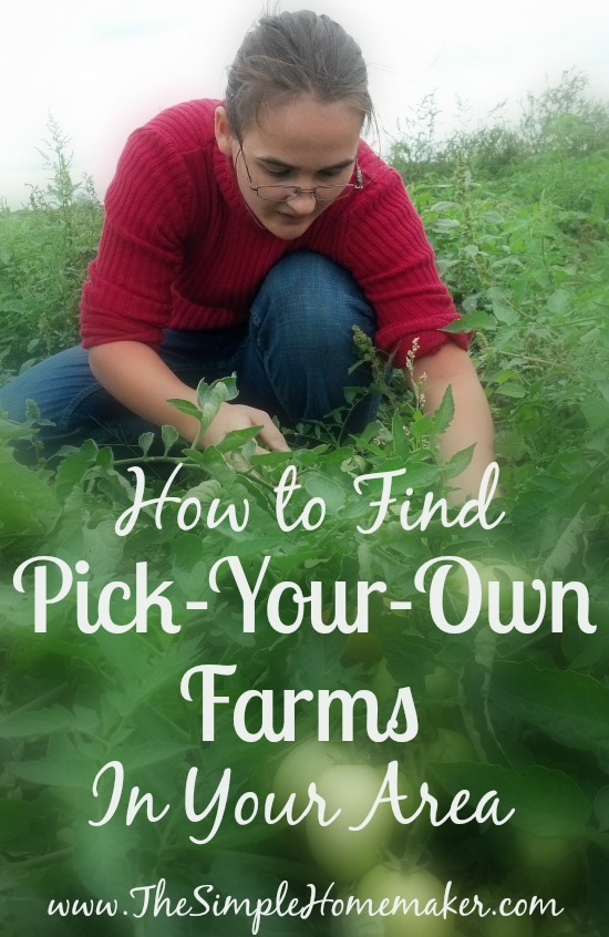 How to Find Pick-Your-Own Farms in Your Area
