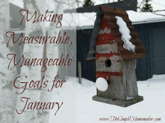 Since year-long resolutions to work for me (or most mere mortals), I'm setting mostly measurable, manageable monthly goals. Join me!